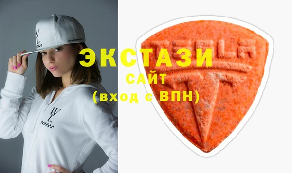 гидра Инта