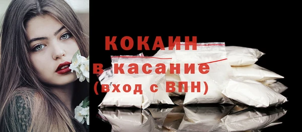 гидра Инта