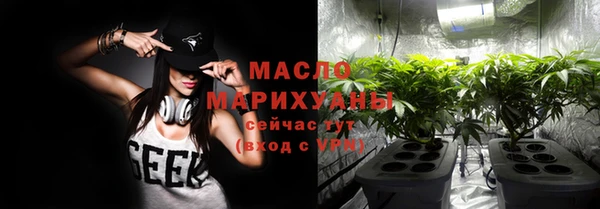 гидра Инта