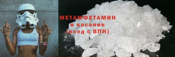 гидра Инта