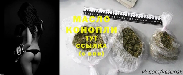 гидра Инта
