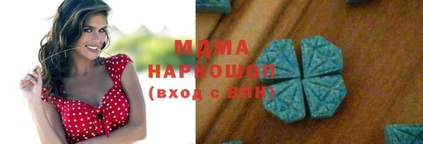 гидра Инта