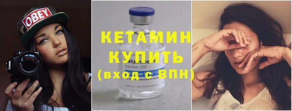 гидра Инта