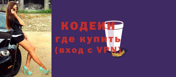 гидра Инта