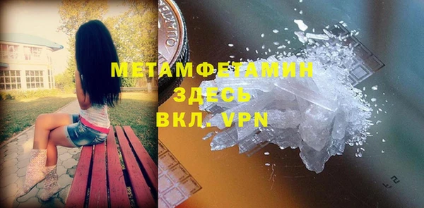 гидра Инта