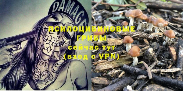 герыч Инсар