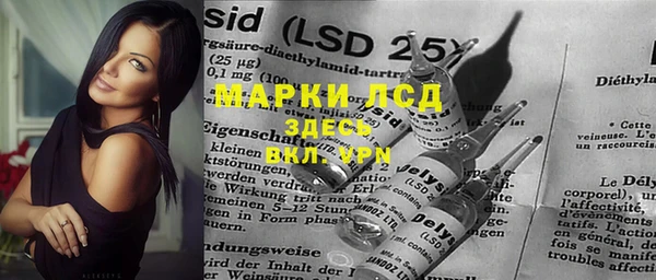 гидра Инта