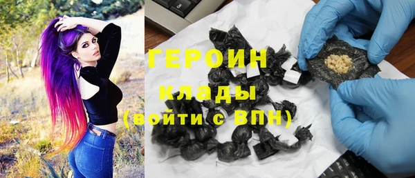 гидра Инта