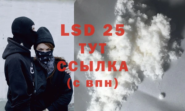 гидра Инта